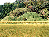 写真：横から見た大塚古墳