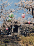 写真：石の祠