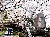 写真：白坂公園