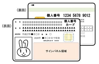 011.jpg