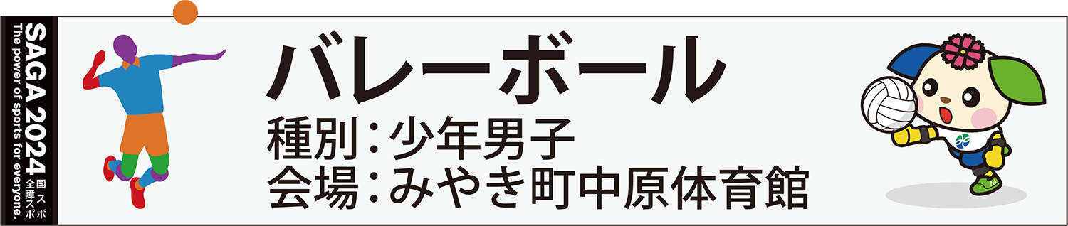 バレーボール