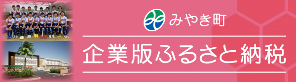 企業版ふるさと納税
