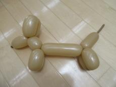風船で作った犬